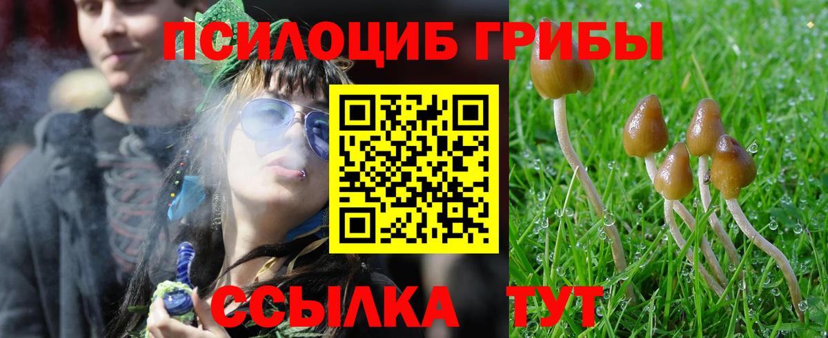 Галлюциногенные грибы прущие грибы  Псилоцибиновые грибы Magic Shrooms  Вход с VPN  Алексеевка 